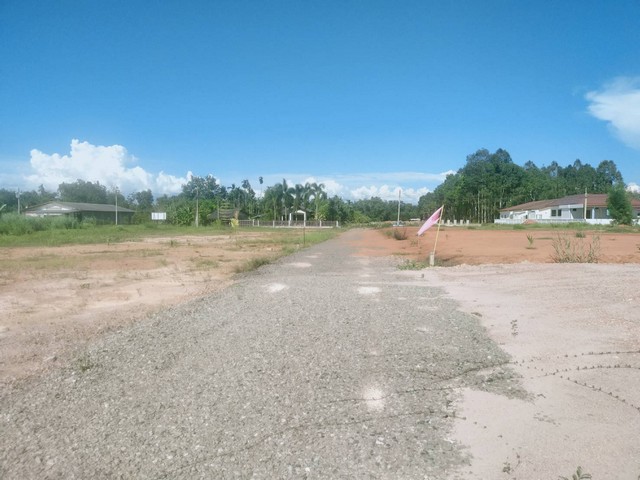 ที่ดินเปล่าเหมาะสร้างบ้าน สร้างหอพักเขตชุมชน วังหว้า แกลง จ.ระยอง