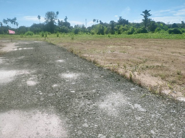 ที่ดินเปล่าเหมาะสร้างบ้าน สร้างหอพักเขตชุมชน วังหว้า แกลง จ.ระยอง