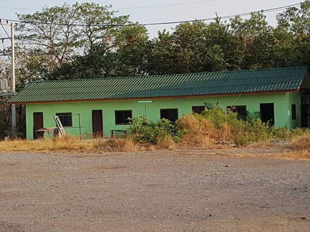 ให้เช่าโรงงานพร้อมบ้านและที่พักคนงาน  อำเภอตาคลี จังหวัดนครสวรรค์