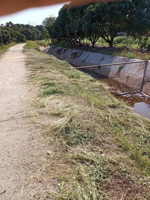 โซนสารภี ขายที่ดินตรว.ละ 6,000 บาท เนื้อที่ 367 ตรว. #ขัวมุง #ใกล้ตลาดน้ำโท้งสถานที่ใกล้เคียงตลาดน้ำโท้ง 12 นาทีโรงเรียนต้นแก้วผดุงพิทยาลัย 20 นาทีอนุสาวรีย์พระนางจามเทวี 21 นาทีสนามบินเชียงใหม่ 35 นาทีขายตารางวาละ 6,000 บาท ค่าโอนคนละครึ่งบริ​การยื่น​สินเชื่อ​ทุก​ธนาคาร​ฟรี​ ไม่มีค่าใช้จ่ายเอกสารที่ใช้ยื่นแบงค์สำหรับพนักงาน​ทำงานประจำ1. สำเนาบัตรประชาชน2. สำเนาทะเ