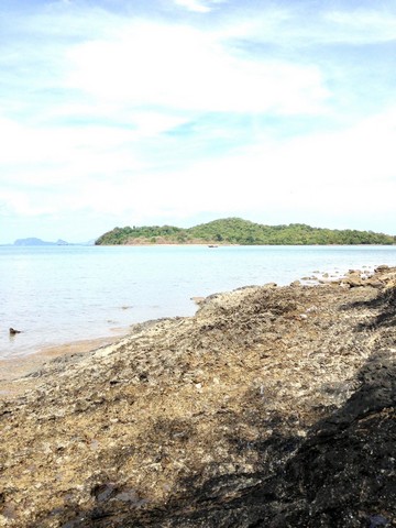 #ขายที่ดินติดทะเล#เนื้อที่ 5 ไร่ 1 งาน 3 ตารางวา#ที่ตั้ง ต.เกาะลันตาใหญ่ อ.เกาะลันตา จ.กระบี่ราคาขาย ไร่ละ 8 ล้านบาท========================#Land for sale next to the sea#Area 8412 sq.m.#Location : Koh Lanta, Krabi, Thailand Selling price : 42 million========================#สนใจติดต่อ / contact0625654665/ https://line.me/ti/p/RCrmthSisx#ขายที่ดินติดทะเล#เนื้อที่ 5 ไร่ 1 งาน 3 ตารางวา#ที่ตั้ง ต.เกาะลันตาใหญ่ อ.เกาะลันตา จ.กระบี่ราคาขาย ไร่ละ 8 ล้านบาท========================#Land for sale next to the sea#Area 8412 sq.m.#Location : Koh Lanta, Krabi, Thailand Selling price : 42 million==============