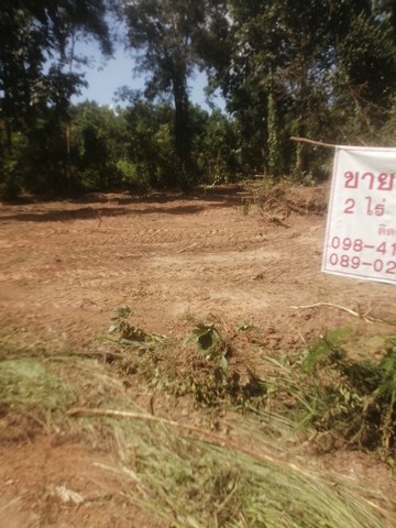 ขายด่วนที่ดิน ทำเลดี ต. ท่าวังทอง อ. อำเภอเมืองพะเยา จ. พะเยา