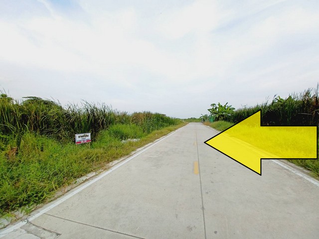 ขายที่ดิน ลำลูกกา คลอง4 สุสวาท *** ขายราคา 5.5 ล้านบาท ลดราคาจาก 6.5 ล้านบาท  *** ขายที่ดินคลอง4 ลำลูกกา ซอยสุสวาท 200 ตรว  เข้าออกได้ 3 ทาง  เหมาะทำโกดัง ปลูกบ้าน อพาร์ทเม้นท์ ทำเลดี ใกล้แหล่งชุมชน ที่ตั้งที่ดิน :    ตำบล ลาดสวาย อำเภอ ลำลูกกา ปทุมธานี 12150ขายที่ดิน เนื้อที่ดิน 200 ตรว คลอง4 ธัญบุรี-ลำลูกกา ติดถนนคอนกรีต- กว้าง 26.6 เมตร - ลึก 30 เมตรลักษณะ : ที่ดินเป็นรูปสี่เหลี่ยม หันหน้