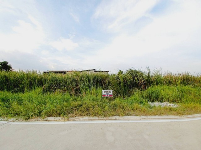 ขายที่ดินคลอง4 ลำลูกกา ซอยสุสวาท 200 ตรว  เข้าออกได้ 3 ทาง  เหมาะทำโกดัง ปลูกบ้าน อพาร์ทเม้นท์