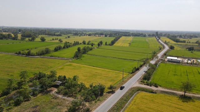 ที่ดินแบ่งขาย แบ่งชำระได้ 12เดือน บ้านนา นครนายก ไฟฟ้าประปาขอมิเตอร์เข้าอยู่ได้เลย  100 ตรว.