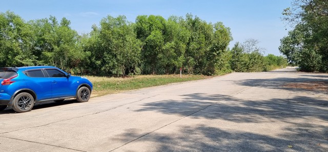 ที่ดินถมแล้ว คลอง2 เอราวัณ28/1 ติดถนนคอนกรีต ไฟฟ้าประปาพร้อม 1ไร่ ตรว.ละ 9,500