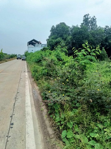 ที่ดินเพื่อการลงทุน ทำเลทอง ที่ดินคลอง2 คลองหลวง จ.ปทุมธานี ติดถนน 2 ด้าน ไร่ละ3ล้าน