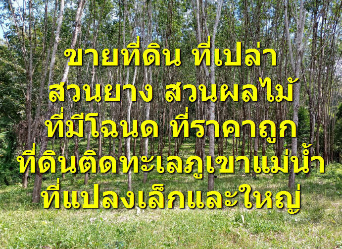 ขายที่ดิน ที่เปล่า สวนทุเรียน สวนผลไม้ สวนยาง จันทบุรีและตราด ภาคตะวันออก