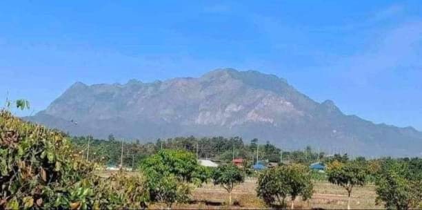 ถูกกว่านี้ไม่มีอีกแล้ว ขายด่วนยกแปลง 6.5 ล้าน 6-3-18 ตรว. #แม่นะ #เชียงดาว #ขายพร้อมผู้เช่ารับรายได้เดือนละ30,000 บาท/ปี ที่สวยเห็น #วิวดอยหลวงเชียงดาว บรรยากาศดีมาก มีลำธารไหลผ่าน มีน้ำตลอดปี เป็นพื้นที่ราบ #น้ำไม่ท่วม มีต้นมะม่วง ต้นลำไย และต้นเงาะ #เหมาะซื้อทำรีสอร์ทหรือซื้อเก็บไว้เก็งราคาโฉนดครุตแดงห่างจากถนนสายหลักเชียงใหม่-เชียงดาว 50 เมตร มีน้ำไฟเข้าถึงตอนน