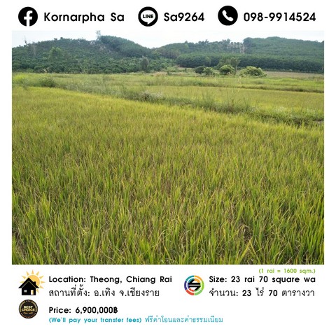 ขายที่ดิน 23 ไร่ 70 ตารางวา อ.เทิง จ.เชียงราย ราคา 6,900,000 บาท (ฟรีค่าโอน ฟรีค่าธรรมเนียม)