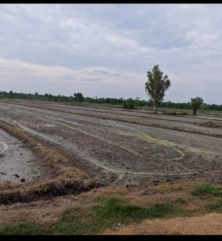 ขายที่ดิน จำนวน 19 ไร่ 1 งาน 32 ตารางวา อำเภอลาดยาว จังหวัดนครสวรรค์#รายละเอียดได้ที่ตั้งทรัพย์-ที่ดินขนาด 19 ไร่1 งาน 32 ตารางวา-ตั้งอยู่หมู่บ้านหนองน้ำแดงตำบลบ้านไร่ อำเภอลาดยาว จังหวัดนครสวรรค์-ที่ดินเป็นที่ดินทำการเกษตร ติดถนนสาธารณะข้างหลังติดคลอง-ราคาถูกมากซื้อไว้ทำกำไรได้แน่นอน(เจ้าของต้องการใช้เงินด่วน)***ราคาเพียงไร่ละ 85,000 บาท##สนใจติดต่อโทร099-253-3547