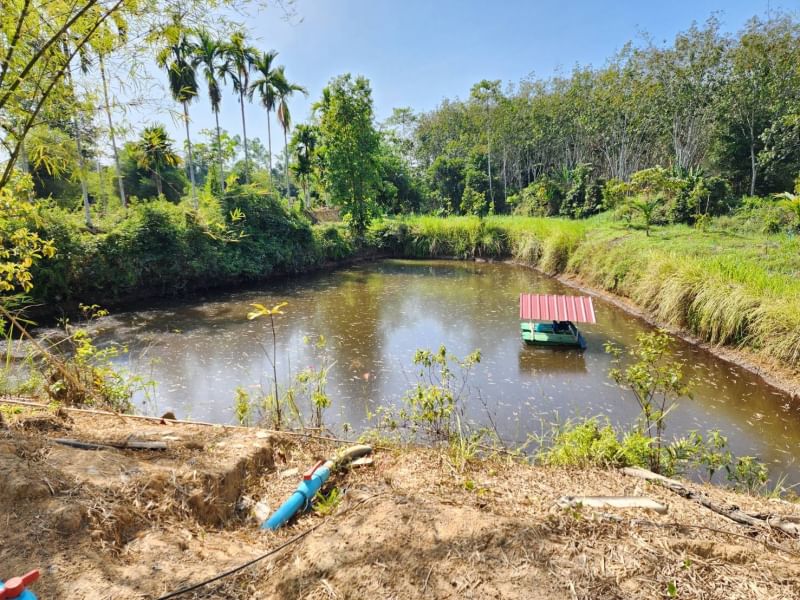 ขายที่ดินพร้อมสิ่งปลูกสร้าง โกดังมีชั้นลอย เจ้าของขายเอง  แขวงสามวาตะวันตก เขตคลองสามวา กรุงเทพมหานคร 10510