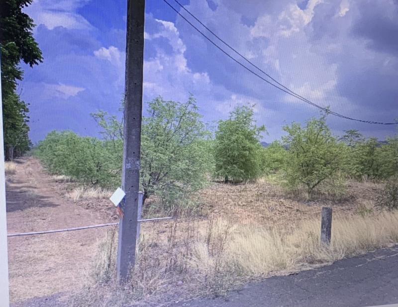 ขายที่ดินพร้อมบ้าน เนื้อที่ 1ไร่ ตำบลกองนาง อำเภอท่าบ่อ จังหวัดหนองคาย 