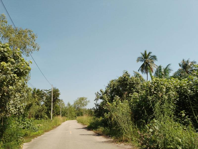 ขายที่ดิน   ตำบลบางชนะ อำเภอเมือง  จังหวัดสุราษฎร์ธานีที่ตั้ง :  ตำบลบางชนะ อำเภอเมือง  จังหวัดสุราษฎร์ธานีhttps://maps.app.goo.gl/sVDuCRiS9mLNrWr59ขนาดพื้นที่ :  เริ่มต้น  250 ตารางวาขายที่ แบ่งแปลง แถว บางชนะ อ.เมือง สุราษฎร์ธานีใกล้เมืองเพียง 8 นาทีโฉนด ครุฑแดงแปลง 1 :  250 วา 550,000 บาทแปลง 2 : 400 วา 970,000 แปลง 3: 361 วา 870,000แปลง 4: 228.5 วา 570,000แปลง 5: 242.7 วา 590,000แปลง 6: 289.6 วา 730,000ติดต่อ098-094-9666Line id: rabbitlover789