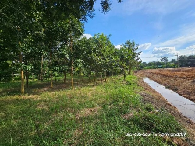 ขายที่สวนป่า วิวเขา ถมนานแล้ว ต.เขาพระ อ.เมืองนครนายก ใกล้สถานีขนส่งผู้โดยสารนครนายก (ใหม่)