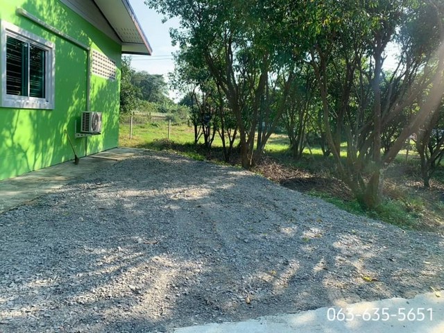 ขายบ้านสวนติดแม่น้ำนครนายก ขนาดย่อม สงบร่มรื่น ต.ท่าช้าง อ.เมืองนครนายก ตรงข้ามวัดโบสถ์การ้อง แม่น้ำสวยสะอาดตา เขตอภัยทาน