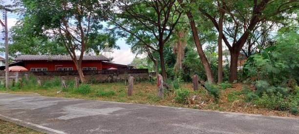 ขายที่ดินต่ำกว่าราคาประเมิน 2.8 ล้าน 82 ตรว. #ที่ดินอำเภอเมือง #ติดสถานีรถไฟเชียงใหม่ #พื้นที่สี่เหลี่ยม หน้ากว้าง 20 เมตร สงบ ร่มรื่น เข้าออกได้หลายทาง #ห่างถนนเจริญประเทศ 700 เมตร สิ่งอำนวยความสะดวกครบครันสถานที่ใกล้เคียงโรงเรียนสารศาสตร์ 1.5 กม.โรงเรียนมงฟอร์ดวิทยาลัย 1.7 กม.โรงเรียนดาราวิทยาลัย 2.2 กม.โรงเรียนปรินส์รอยสิทยาลัย 2.7 กม.โรงพยาบาล แมคคอลมิค 2.3 กม.โรงพยาบา