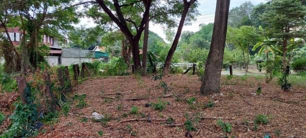 ขายที่ดินต่ำกว่าราคาประเมิน 2.8 ล้าน 82 ตรว. อำเภอเมือง พื้นที่สี่เหลี่ยม หน้ากว้าง 20 เมตร ห่างถนนเจริญประเทศ 700 เมตร