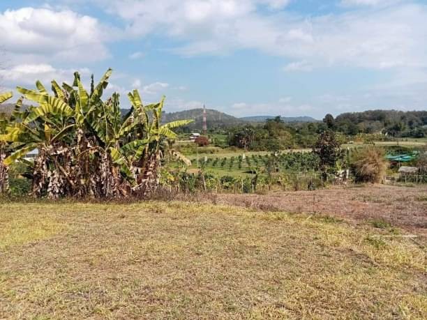 ที่ดินวิวสวย ขาย 2 ล.เท่านั้น เนื้อที่ 2 ไร่กว่า สบเปิง แม่แตง ที่ดินเป็นเนิน มองเห็นวิวภูเขาสวย วิวทุ่งนา และสวนเกษตร