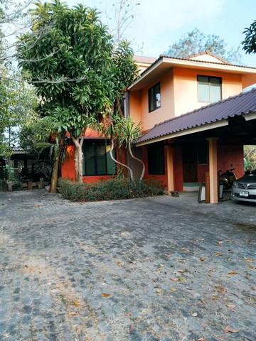 ขายที่ดินพร้อมบ้านสวน 2 หลัง อำเภอดอยสะเก็ด จังหวัดเชียงใหม่ เนื้อที่ 2 ไร่ 3 ตารางวา#รายละเอียดและที่ตั้งทรัพย์-บ้านสวน ต.ป่าป้อง อ.ดอยสะเก็ดจ.เชียงใหม่ ที่ดินโฉนด 2-0-3 ไร่ (มีเนื้อที่เกิน) (ยังมีเนื้อที่เหลือด้านหน้า และด้านหลังรวมประมาณ 1 ไร่เศษ สามารถทำการเกษตรได้น้ำดีมีลำเหมือง) พร้อมบ้าน 2 หลัง หลังใหญ่3 ชั้น 3 ห้องนอน 3 ห้องน้ำ ,ห้องโถง,ห้องรับแขก,ห้องนั่งเล่น