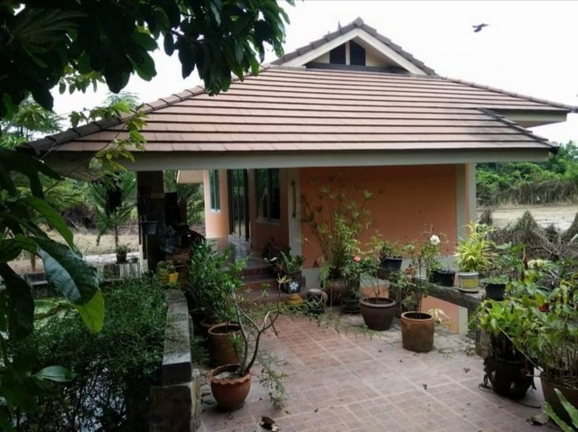 ขายที่ดินพร้อมบ้านสวน 2 หลัง อำเภอดอยสะเก็ด จังหวัดเชียงใหม่ เนื้อที่ 2 ไร่ 3 ตารางวา