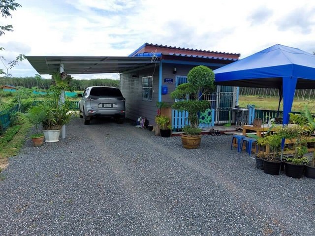 ขายบ้านพร้อมที่ดิน ติดถนนใหญ่เส้น ควนกบ- เก่าร้าง ตำบลคลองหอยโข่ง อำเภอคลองหอยโข่ง จังหวัดสงขลา เนื้อที่ 50 ตารางวา#รายละเอียด-บ้านพร้อมที่ดิน 50 ตารางวา ติดถนนใหญ่เส้น ควนกบ -เก่าร้าง-จำนวน 1 ห้องนอน 1 ห้องน้ำ -ตั้งอยู่ตำบลคลองหอยโข่ง อำเภอคลองหอยโข่ง จังหวัดสงขลา-ห่างจากสนามบินเพียง 20 กิโลเมตร-อากาศดีใกล้น้ำตกผาดำ-น้ำประปา ไฟฟ้าพร้อม**ราคาพิเศษเพียง 550,000 บาท(ธ