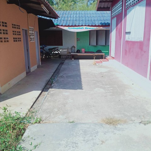 ขายบ้านพร้อมที่ดินเนื้อที่2ไร่ 60 ตารางวา อยู่ซอยเนินไทรสาม ตำบลนาเริก อำเภอพนัสนิคม จังหวัดชลบุรี