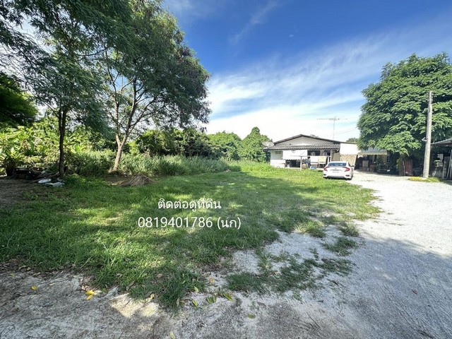ขายที่ดิน 140 ตร.ว. แถมบ้าน 1 หลัง ราคา 3,200,000 บาท ฟรีโอนที่ดิน