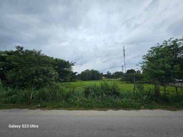 เหมาะสำหรับนักลงทุนนำไปพัฒนาต่อ ขายตรว.ละ 13,000 บาท แม่สา แม่ริม เนื้อที่ 3-2-70 ไร่ ที่ดินแปลงสวย ผังเหลือง ติดถนน 2 ด้าน