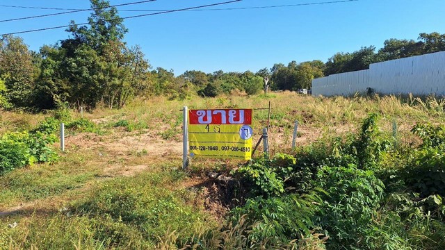 ZE596ขายด่วน ที่ดิน 4 ไร่ ใกล้ร.ร.ขอนแก่นวิเทศศึกษา ต.บ้านหว้า อ.เมือง ขอนแก่นพิกัด : https://www.google.com/maps?q=16.39655109,102.71975298ขนาด : กว้าง 35 ม. ลึก 134 ม.จุดเด่น : ติด ถ.เหล่านาดีสถานที่ใกล้เคียง- ร.ร.ขอนแก่นวิเทศศึกษา 5.5 กม.- ศาลปกครองขอนแก่น 10 กม.- สำนักงานเทศบาลเมืองเก่า 11 กม.- บ.ขอนแก่นแหอวน จำกัด 14 กม.- Central 16 กม.- สนามบิน 17 กม.ขาย 16,000,000 บาท (ตารางวาละ 10,000 บาท)เงื่อนไข : คนละครึ่งคุณโจ 091-1281948คุณเกรท 097-0564510Idline : 0911281948