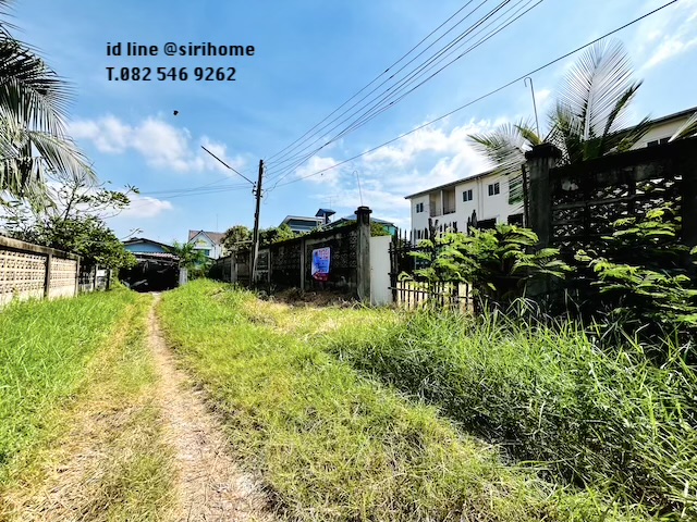 ขายที่ดินมหาชัย 131 ตารางวา ถมแล้ว ถนนเดิมบาง ใกล้โรงพยาบาลเอกชัย เหมาะทำจัดสรรขนาดย่อม อพาร์ทเม้นท์ หอพัก