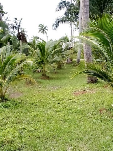 ZCP045ขายที่ดินพร้อมบ้านใกล้ทะเลบ้าน 2 ห้องนอน 1ห้องน้ำ 1ห้องโถง 1 ห้องครัว 1 โรงรถสวนผสม ทุเรียน มะพร้าว กล้วย ฝรั่ง ที่ตั้ง ต.ท่ายาง อ.เมืองชุมพร จ.ชุมพรhttps://maps.app.goo.gl/9P5FKY7GLAudYBsGAพื้นที่ 3-2-32 ไร่  กว้าง 48 เมตร โดยประมาณลึก   195 เมตร โดยประมาณ สถานที่ใกล้เคียง- ใกล้ริมทะเลปากหาด ทะเลอ่าวไทย- ใกล้ตลาดชุมชนปากหาด- ใกล้เทศบาลเมืองชุมพร- ใกล้โรงพยาบาลชุมพรเขตอุดมศักดิ์ราคา 15,000,000 บาทค่าโ