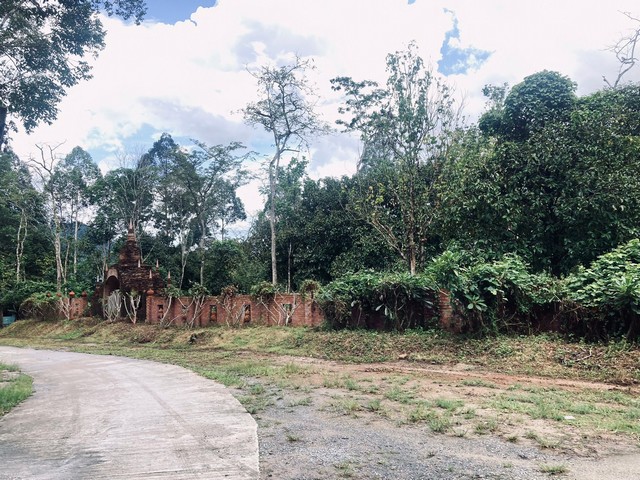 ขายด่วน ที่ดินสวย 7-0-99.9 ไร่ หมู่ 3 ต.ลานสกาใน อ.ลานสกา จ.นครศรีธรรมราช   ZST178