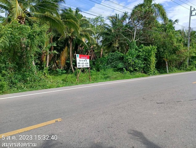 ขาย ที่ดิน อัมพวา สวนมะพร้าว แม่กลอง สมุทรสงคราม ขนาด 14-0-87 ไร่ ใกล้พระราม 2 เพียง 4 กม. ราคา 30,000,000 บ.