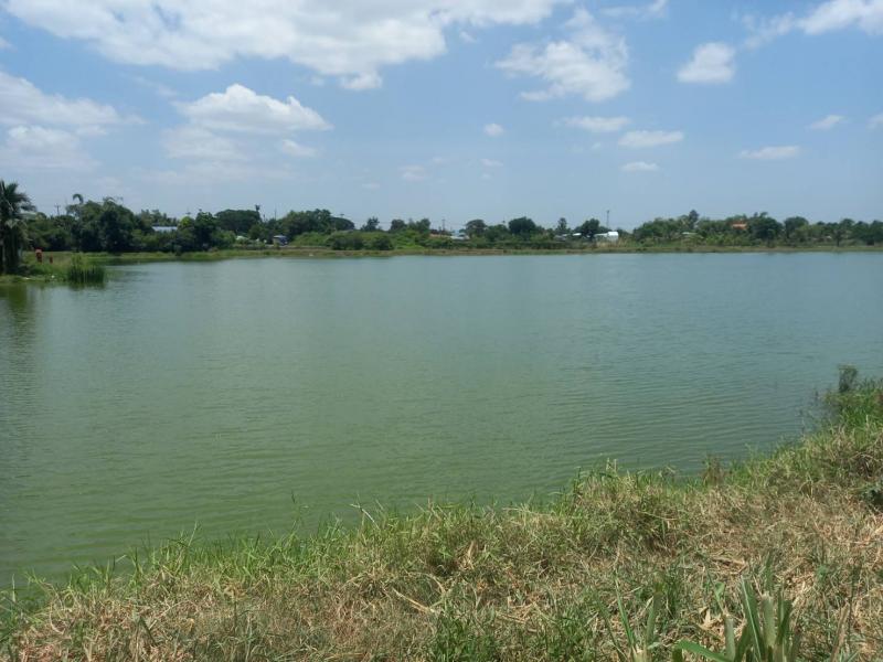 ขายที่ดิน เป็นบึงน้ำ วิวสวย18 ไร่ เจ้าของขายเอง  ตำบลสัมปทวน อำเภอนครชัยศรี จังหวัดนครปฐมที่ตั้ง : ตำบลสัมปทวน อำเภอนครชัยศรี จังหวัดนครปฐมขนาดพื้นที่ : 18 ไร่รายละเอียดเป็นบึงน้ำ วิวสวย เหมาะกับทำ สวนอาหาร หรือจะถม ทำบ้านจัดสรร อยู่ใกล้เขต ชุมชน ตำบลสัมปทวน อำเภอนครชัยศรี จังหวัดนครปฐมยาวขนาดกับ ถนนทางหลวง วัดสามควายเผือก-วัดละมุด 200 เมตรใกล้จุดพักรถ มอเตอ