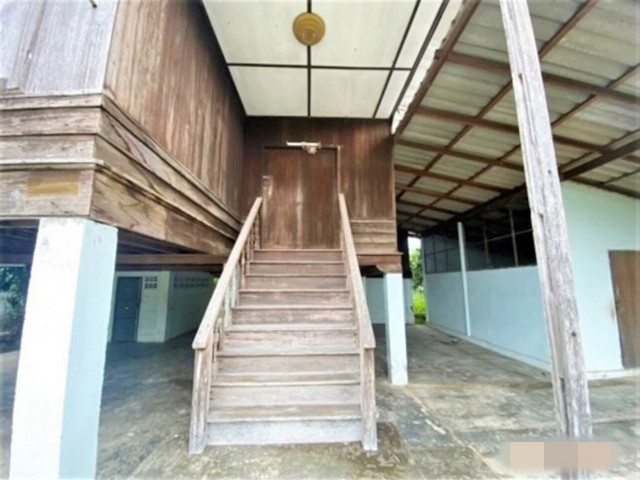 ขายบ้านเดี่ยว      อำเภอบ้านโฮ่ง ลำพูน (PKK02-16268)