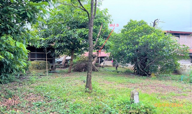 บ้านเดี่ยวใก้ล โลตัสโกเฟรช บุ่งหวาย อำเภอวารินชำราบ จังหวัดอุบลราชธานี PKK02-14516