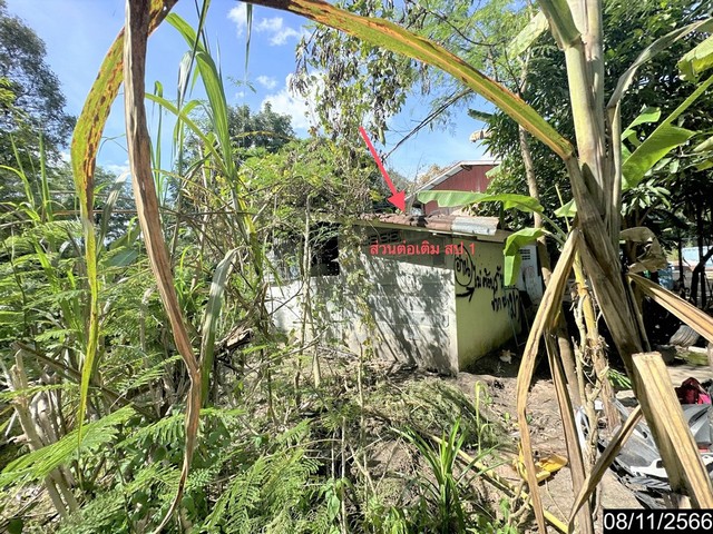 ขายบ้านเดี่ยวใกล้ ตลาดแสวงทรัพย์ อ.เมืองอุบลราชธานี จังหวัดอุบลราชธานี PKK02-14770