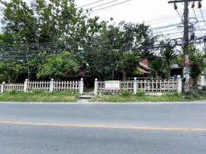 พื้นที่ให้เช่าสำหรับร้านค้า - ร้านกาแฟ -ร้านอาหาร ฯลฯ ในเขตบริเวณ ปลายแหลม, สนามบินสมุย , เชิงมน ต.บ่อผุด เกาะสมุย สุราษฎร์ฯ.ท่านใดกำลังมองหาพื้นที่เปิดกิจการ เริมต้นธุรกิจค่าเช่าราคา พิเศษสุดๆ ! เพียง  25,000 บาท/เดือน .- ทำเลใกล้ไฮแอ็ด เชิงมน - สนามบินสมุย , หาดเฉวง ,หาดเชิงมน- ทำเลยอดฮิต , ผู้คนผ่านตลอด 24 ชม.- ประกอบได้ทุกกิจการ - มี ห้องนอน ชั้นบน สามารถพักอาศัยได้ด้วย