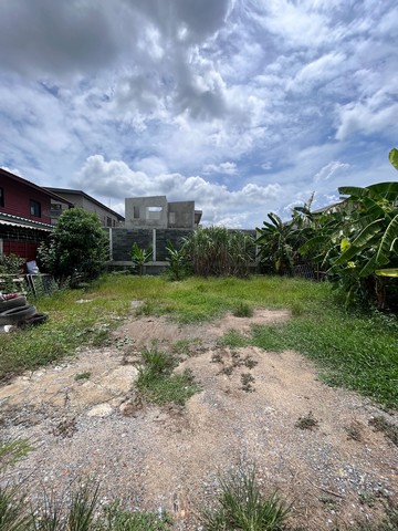 ที่ดินถมแล้ว 50 ตรว. ซ.นายตึ๋ง ศาลากลาง นนทบุรี ใกล้ศาลายา เข้าออกได้หลายทาง เหมาะสร้างบ้าน โฮมออฟฟิศ โกดัง