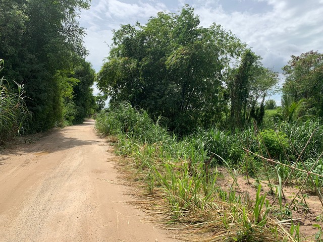 พระจอมเกล้าพระนครเหนือ เฟอร์ครบ MRT บางโพ ให้เช่าอาคารพานิชย์ 2 ชั้น14ตรว. 112ตรม.  2นอน 1น้ำ 1จอดรถ 3แอร์ เกทเวย์ แอท บางซื่อ