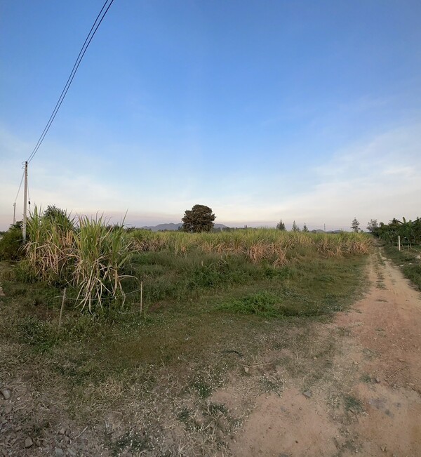 ขายที่ดินสวย ต.ห้วยทรายเหนือ อ.ชะอำ จ.เพชรบุรี 11 ไร่ 82 ตร.ว. พร้อมโอน