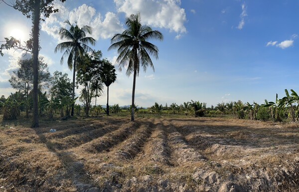 ขายที่ดินสวย ต.เขากระปุก อ.ท่ายาง จ. เพชรบุรี 11 ไร่ พร้อมโอน