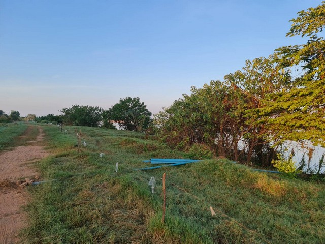 ทรัพย์รับตรุษจีนเฮงๆรวยๆเสนอ ขายที่ติดน้ำโขง ต.กุดบง อ.โพนพิสัย จ.หนองคาย หน้าติดถนนโยธาธิการ หลังติดแม่น้ำโขง ไร่ละ 2ล้านบาท โทร 096-882-1857