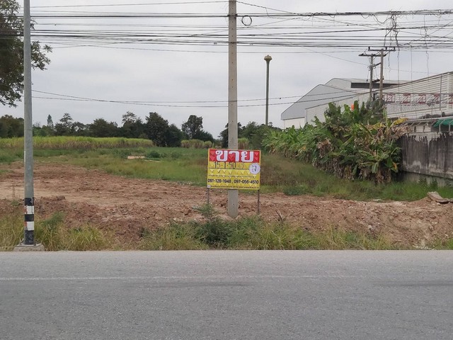 ZE608ขายด่วนที่ดิน 15-1-50.5 ไร่ ติดศูนย์กระจายสินค้า CP All ต.ท่าพระ อ.เมือง ขอนแก่นพิกัด : https://www.google.com/maps?q=16.32988525,102.84348601ขนาด : กว้าง 112 ม. ลึก 237 ม.จุดเด่น : เหมาะกับการทำโรงงาน โกดัง ศูนย์บริการรถยนต์ต่างๆ สถานที่ใกล้เคียง- ติดศูนย์กระจายสินค้า CP All - สนามกอล์ฟ สิงห์ ปาร์ค 3.9 กม.- 3 แยกท่าพระ 6.1 กม.ขาย 60,000,000 บาท (ตารางวาละ 9,755 บาท)เงื่อนไข : คนละครึ่งคุณโจ 091-1281948คุณเกรท 097-0564510Idline : 0911281948