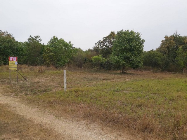 ขายด่วน  ที่ดิน 94 ตารางวา ใกล้บึงหนองโคตร ต.บ้านเป็ด อ.เมือง ขอนแก่น   ZE609