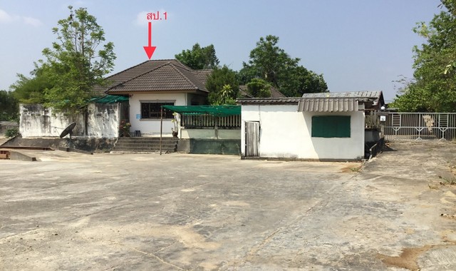 ขายบ้านเดี่ยวใกล้ โกเฟรชเบญจลักษ์ ศรีษะเกษ อ.เบญจลักษ์ จ.ศรีสะเกษ PKK02-13540