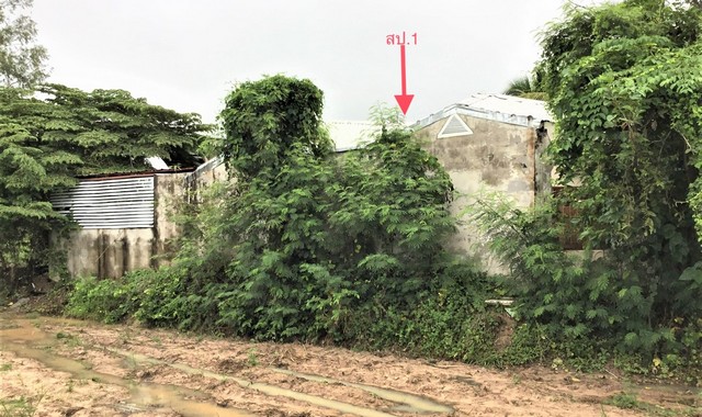   รายละเอียดเพิ่มเติม Code ID : PKK02-15170  ราคาขาย 3,561,000  บาท- ขนาดพื้นที่ :  4709.00 ตร.ว. - พื้นที่ใช้สอย :   53 ตร.ม. - จำนวนห้อง :  1 ห้องนอน 1 ห้องน้ำ  - ที่จอดรถ :   1    คัน- บ้านหันทางทิศ : - พิกัดทรัพย์ : https://maps.app.goo.gl/4AgmtzXQf4FCW29u5    สถานที่ใกล้เคียง- ใกล้ตลาดสุขสวัสดิ์- ใกล้โลตัส ศรีสะเกษ - ใกล้สยามแม็คโคร ศรีสะเกษ- ใกล้โรงฆ่าสัตว์โชคประภาวิน   สอบถามเพิ่มเติม/นัดชมโทร. 097-419-5982(พลอย)โทร. 096-932-4624(ออมสิน)Line : @panaya (มี@ด้านหน้�