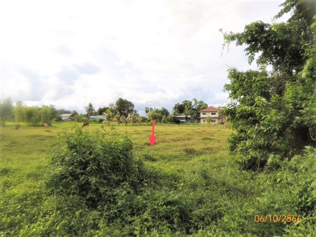 ขายบ้านเดี่ยวใกล้ ซีเจ มอร์ สาขาขุขันธ์ อำเภอขุขันธ์ จังหวัดศรีสะเกษ PKK02-15698