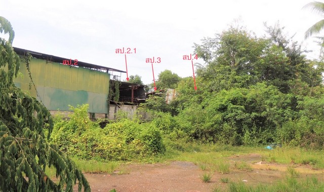 ขายบ้านเดี่ยวใกล้ โลตัส โกเฟรช เดชอุดม อำเภอเดชอุดม จังหวัดอุบลราชธานี PKK02-08889